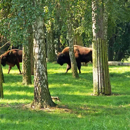 Mueritz In Waren Mueritz Διαμέρισμα *